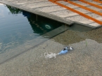 149.jpg