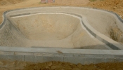 172.jpg