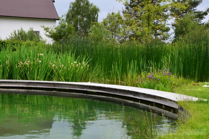 Koupací jezírko třech letech