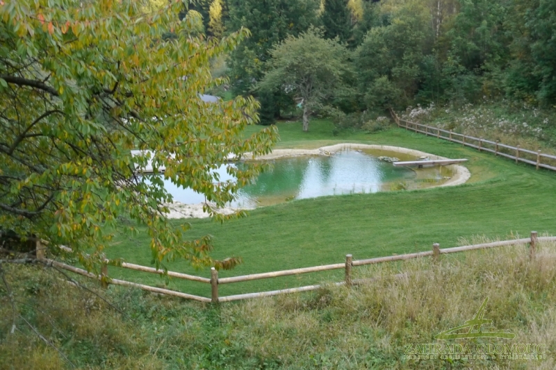 Koupací jezírko rok po realizaci (září)