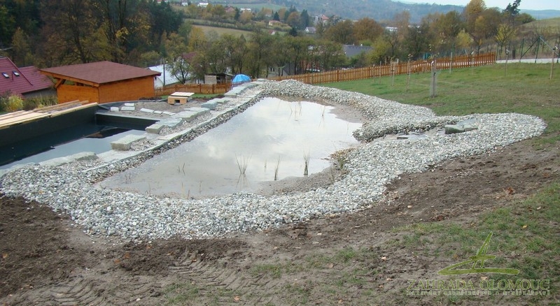 Výsadba rostlin do regenerační zóny